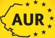 Securitatea națională a fost subminată grav de iresponsabilitatea și incompetența regimului aflat la putere - AUR