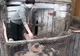 Concluzie finală a veterinarilor, în legătură cu focarele de pestă porcină de la Cilieni