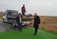 Directorul DSVSA, după primul caz de pestă din Olt: „Nu sacrificăm porcii!”