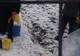 O nouă suspiciune de pestă porcină. Porcul bolnav, îngropat în gospodărie - VIDEO