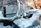 Un alt copac a căzut peste maşini parcate, în Slatina - VIDEO