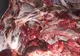 Un bărbat din Olt intenţiona să vând aproape o tonă de carne de vită, la negru, în Capitală. Poliţiştii l-au prins la timp