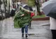Olt: Avertizare meteo de vânt puternic
