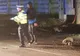 Cascadorie pe străzile Caracalului. Un șofer băut s-a răsturnat cu mașina încercând să fugă de poliție - FOTO&amp;VIDEO
