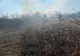 O pădure din Olt, aproape de a fi distrusă de un incendiu. Pompierii au intervenit  - FOTO