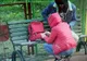 Un caracalean, prins fumând etnobotanice într-un parc din Craiova