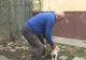 Sterilizare gratuită pentru câinii și pisicile slătinenilor. Unde se află cabinetul