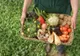 Zeci de fermieri din Olt practică agricultura ecologică. Ce facilități li se oferă