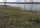 Cod portocaliu de inundaţii pe râurile din judeţul Olt