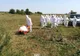 Bilanț îngrijorător: Pesta porcină a apărut în alte trei localități din Olt