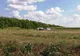 Alte fragmente osoase şi dinţi, găsite în pădurea de lângă Caracal, anunţă DIICOT