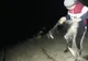 Bărbaţi din Olt, prinşi la braconaj piscicol. Jandarmii au găsit peste o mie de metri de plase monofilament
