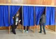 Prezență la vot peste media națională, în Olt