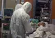 11 angajaţi ai CJ Olt revin la serviciu după ce au fost testaţi neativ la COVID-19