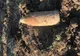 Olt: Proiectil neexplodat din Al Doilea Război Mondial, găsit pe un teren agricol