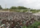 VIDEO IREAL. Baraj din PET-uri aduse de viitură, pe râul Olteţ