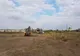 Locuri de muncă. Au început lucrările pentru redeschiderea fostei ferme de pui de la Potcoava