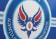 Un consilier PNL Scorniceşti, INCOMPATIBIL. A votat atribuirea către propria asociaţie a 25 hectare de islaz