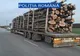 Transporturi ilegale de lemne, în Olt. Ce au făcut poliţiştii