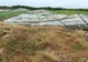 Olt:  Serele agricultorilor din comuna Grădinari, distruse de vânt şi ploaie