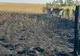 VIDEO. Incendiu pe 100 de hectare de mirişte, în Piatra-Olt. Focul s-a propagat la culturi agricole şi gospodării