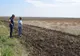 Fermierii din Olt care fac agricultură conservativă şi seamănă fără arătură (VIDEO)