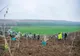 Peste 300 de voluntari au plantat copaci într-o comună din Olt