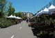 Eveniment dedicat florilor, în weekend, la Slatina