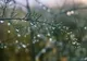 PROGNOZA METEO PENTRU URMĂTOARELE PATRU SĂPTĂMÂNI. TEMPERATURI MAI SCĂZUTE ÎN VESTUL ȚĂRII, ÎN UNELE ZILE