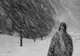 Ciclonul care a făcut ravagii în Europa a ajuns și în România - Ninsori puternice și polei în jumătate de țară - VIDEO