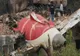 INDIA: CEL PUȚIN 279 DE MORȚI ÎN ACCIDENTUL AVIATIC DIN AHMEDABAD
