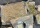 Trafic de droguri destructurat înainte de minivacanța de 1 Mai