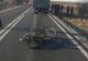 Biciclist spulberat de o autoutilitară, pe un drum național din Olt - VIDEO