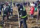 Salvatorii ISU Olt s-au alăturat campaniei „Luna Plantării Arborilor”
