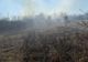 O pădure din Olt, aproape de a fi distrusă de un incendiu. Pompierii au intervenit  - FOTO