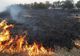 INCENDIILE DE VEGETAȚIE AU MAI FĂCUT O VICTIMĂ