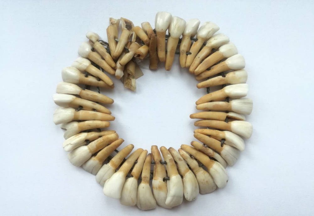 Erase Naughty Archaic Olt: Colier din dinţi de cal, din epoca romană, în colecţia Muzeului  Judeţean | Realitatea de Olt